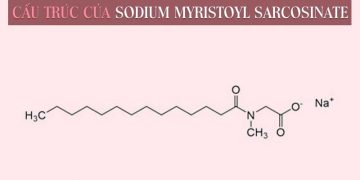 Sodium Myristoyl Sarcosinate là gì