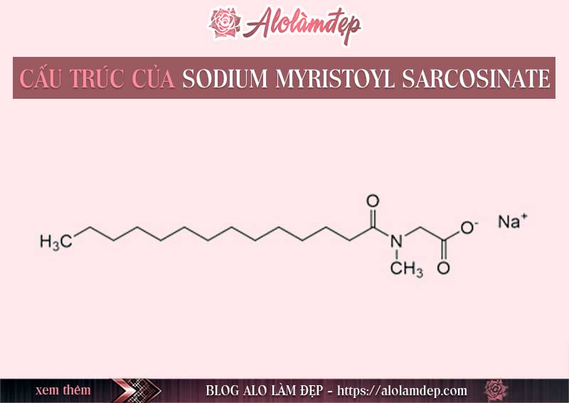 Sodium Myristoyl Sarcosinate là gì 
