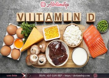 Vitamin D là gì