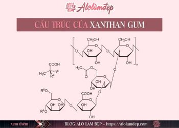 Xanthan Gum là gì