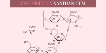 Xanthan Gum là gì