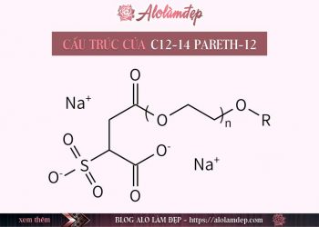 C12-14 Pareth-12 là gì