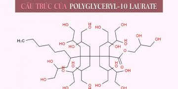Polyglyceryl-10 Laurate là gì