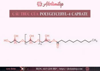 Polyglyceryl-4 Caprate là gì
