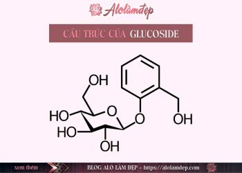 Glucoside là gì