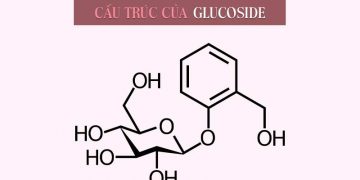 Glucoside là gì