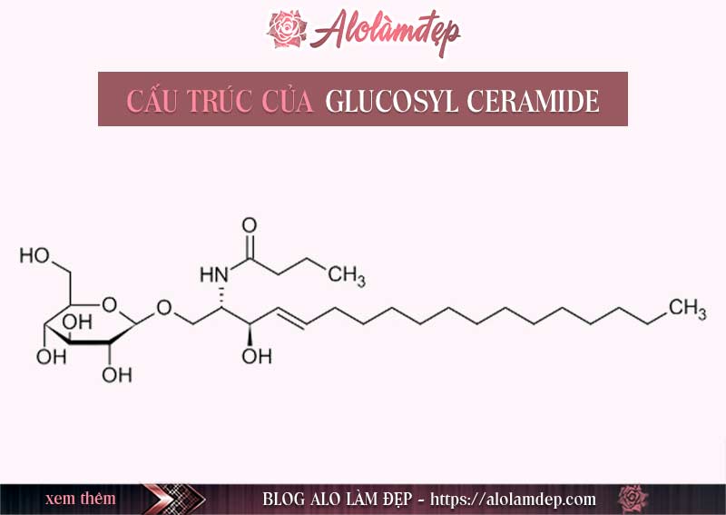 Glucosyl Ceramide là gì