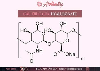 Hyaluronate là gì