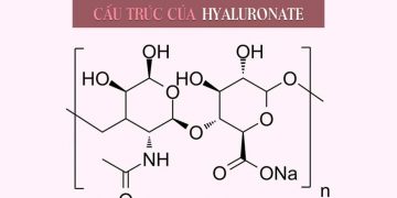 Hyaluronate là gì