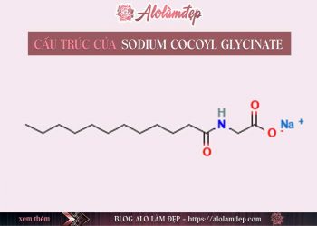 Sodium Cocoyl Glycinate là gì