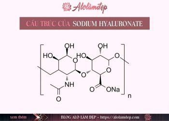 Sodium Hyaluronate là gì