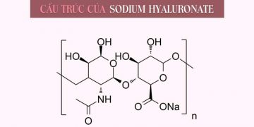 Sodium Hyaluronate là gì