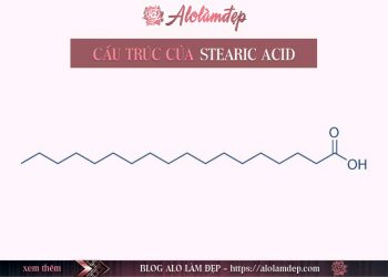 Stearic Acid là gì