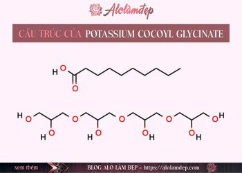 Potassium Cocoyl Glycinate là gì