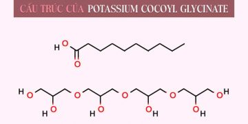 Potassium Cocoyl Glycinate là gì