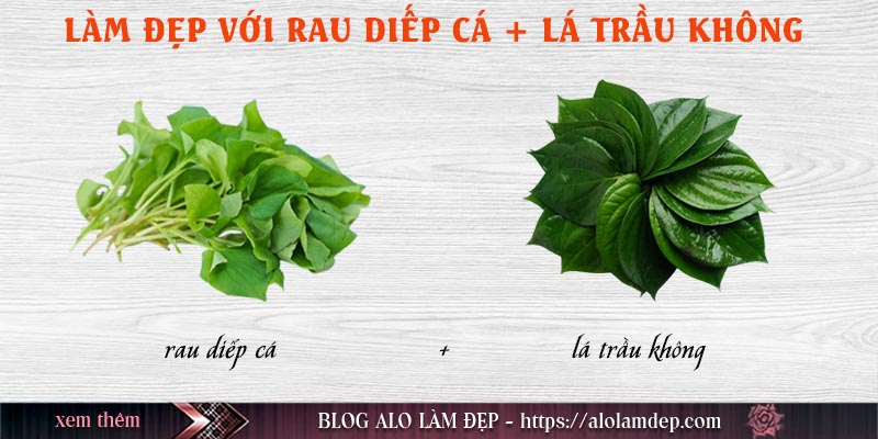 Cách làm đẹp rau diếp cá và lá trầu không