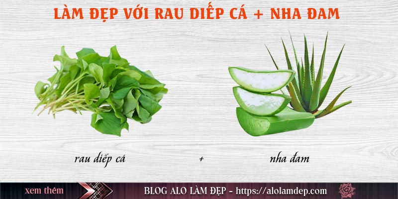 Cách làm đẹp rau diếp cá và nha đam