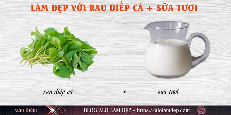 Cách làm đẹp rau diếp cá và sữa tươi