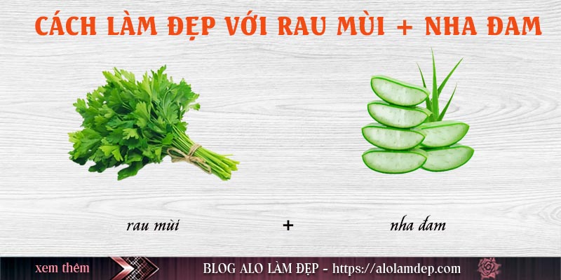 Cách làm đẹp từ rau mùi với nha đam